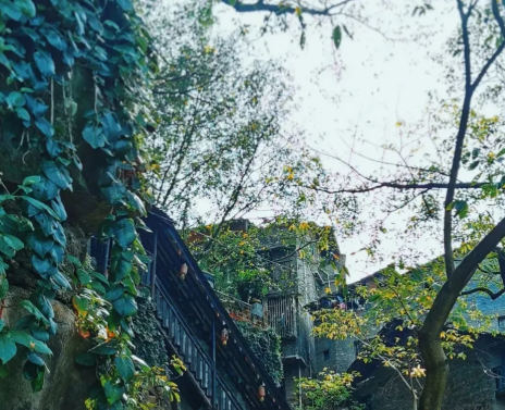 2200多年历史！5000棵黄葛树！重庆这座被誉为“西南第一山水古镇”，藏着治愈系慢生活